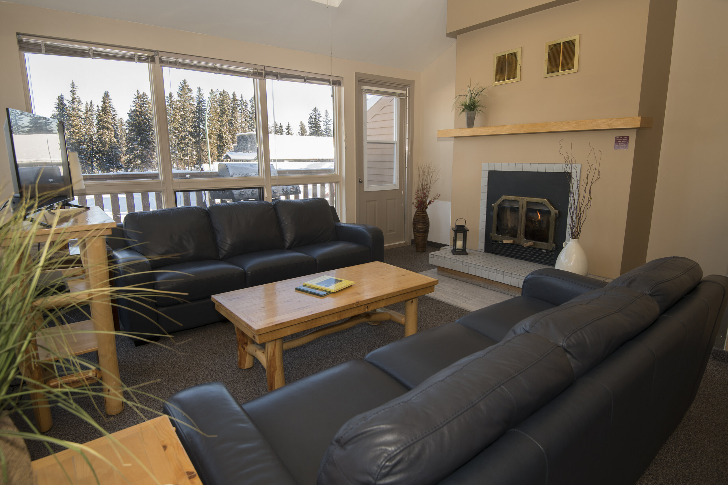 crean-deluxe-condo-waskesiu (10)